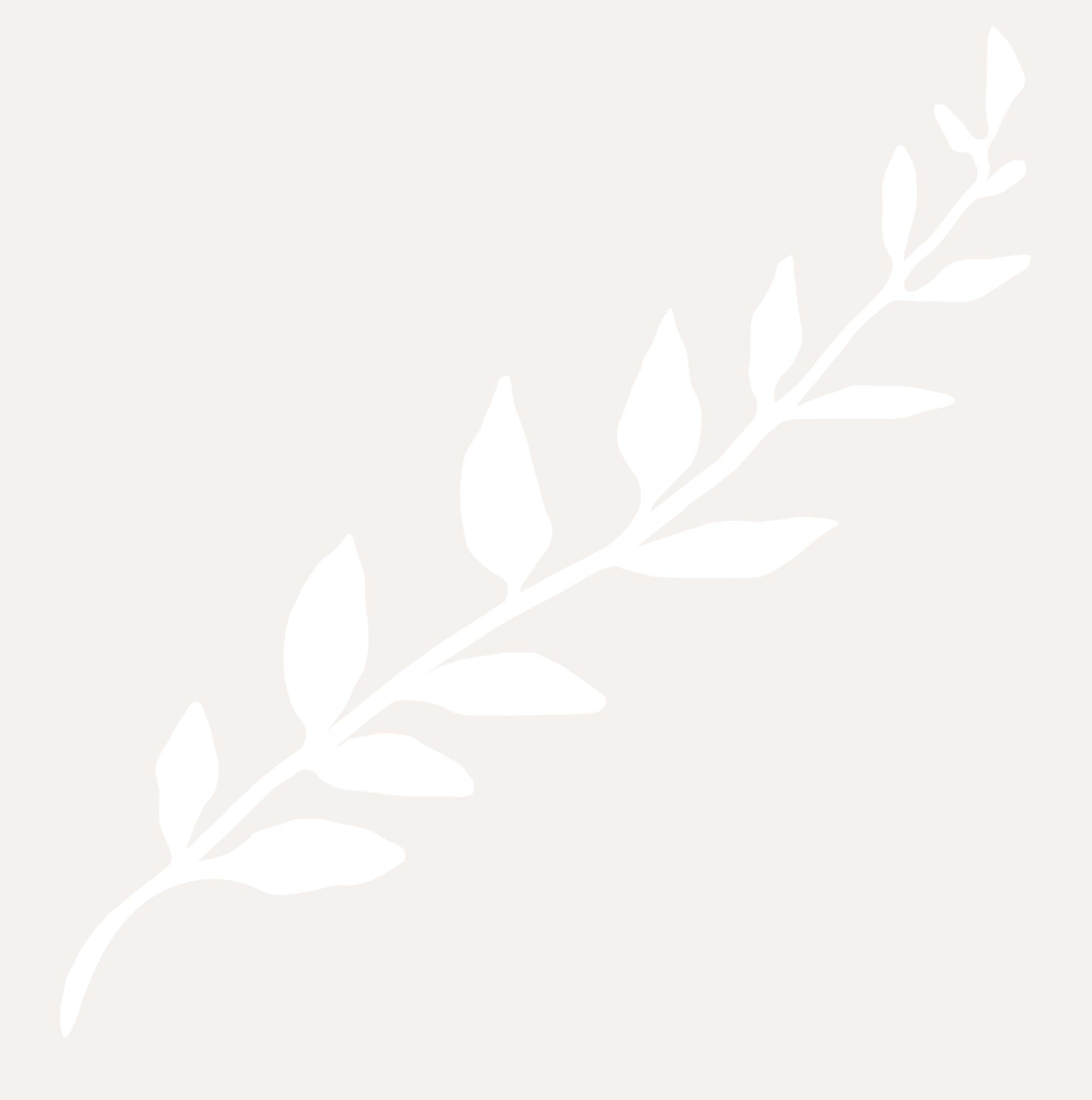 elm leaves accent